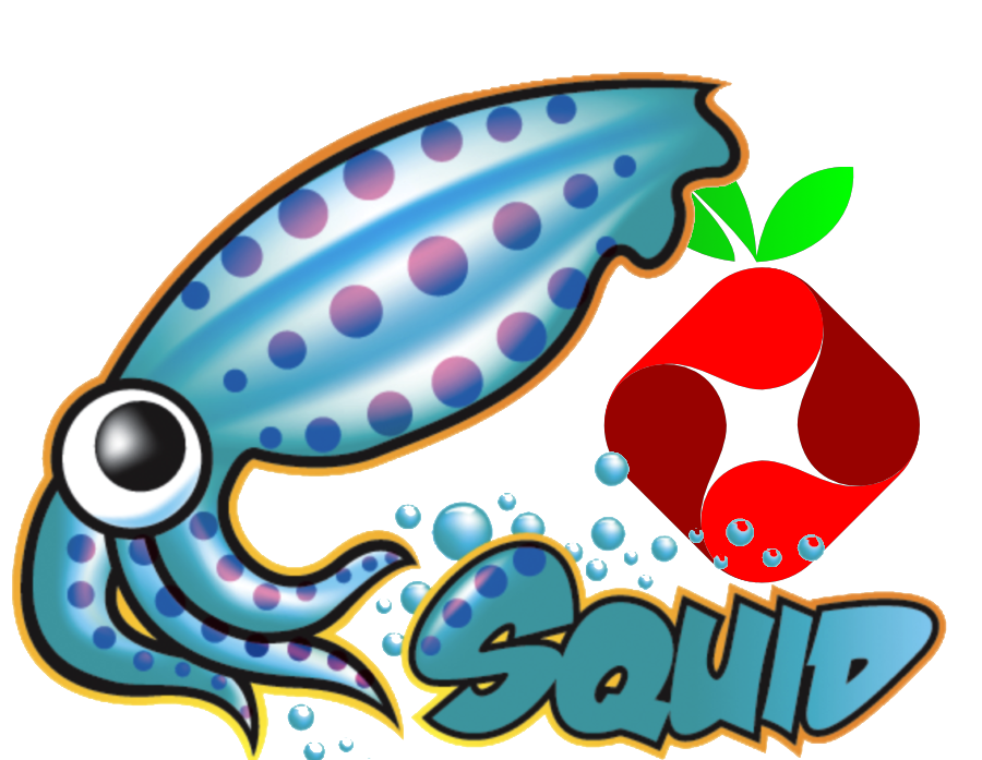 squid-pihole.png