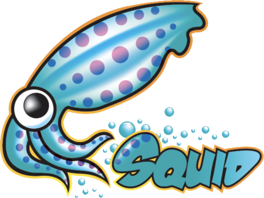 Squid-proxy-1252x999-optimized-1016429947.png